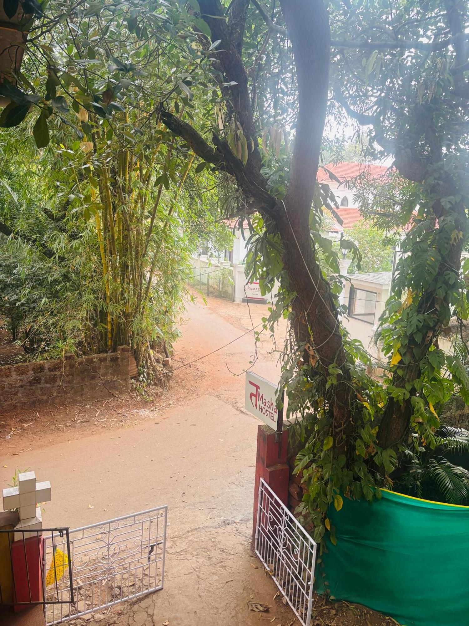 Tamasha Goa Vagator Hostel Eksteriør bilde